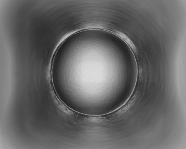X0000116431052200912151014