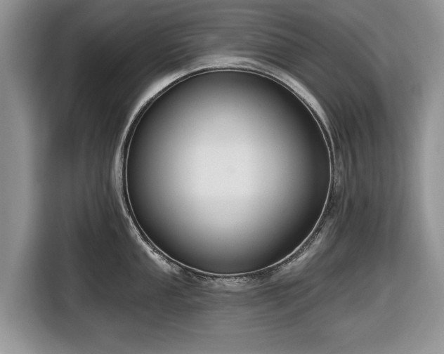 X0000116431053200912151014