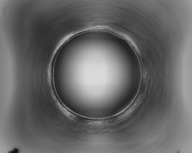 X0000116431054200912151014