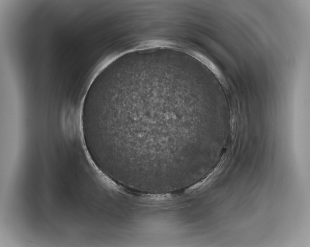 X0000116431055200912151014