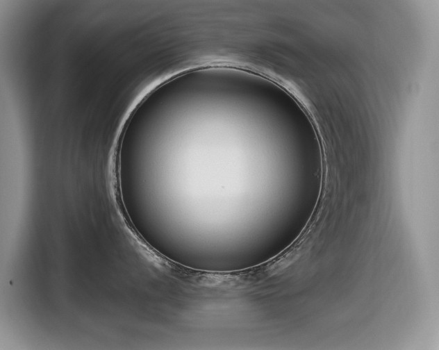 X0000116431056200912151014
