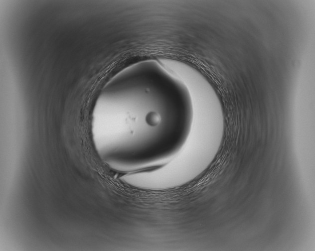 X0000116431057200912151014