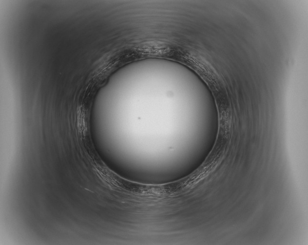 X0000116431058200912151014