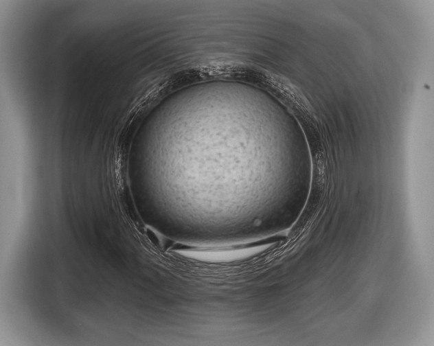 X0000116431060200912151014