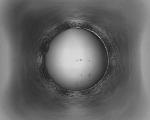 X0000116431061200912151014