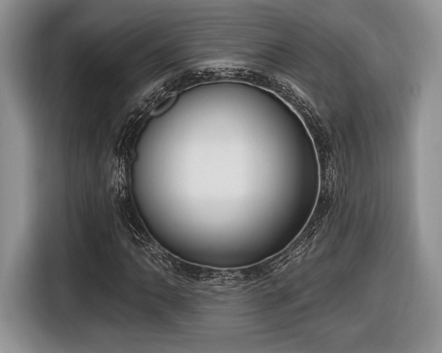 X0000116431062200912151014