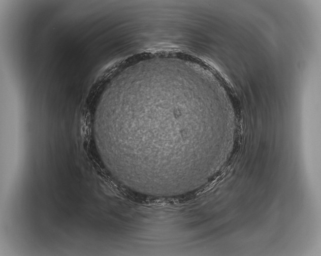 X0000116431063200912151014