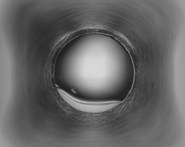 X0000116431064200912151014