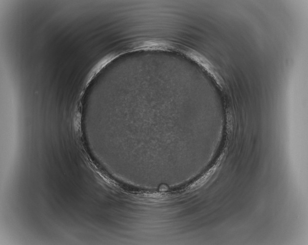X0000116431066200912151014
