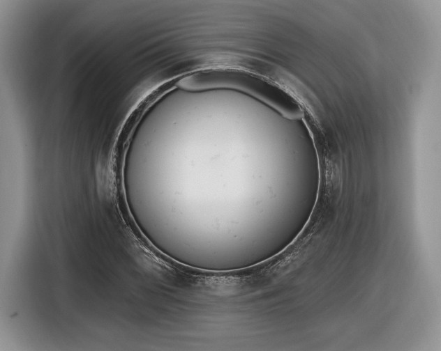 X0000116431068200912151013
