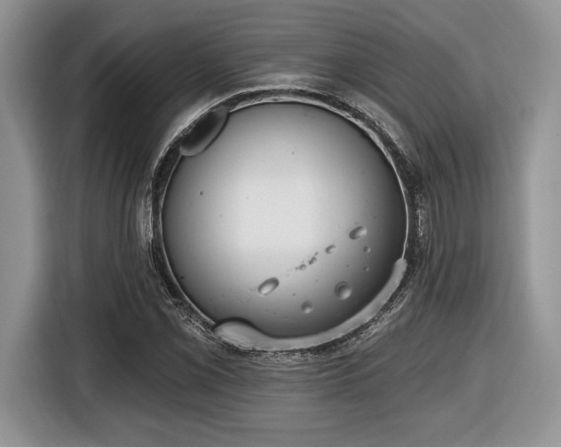 X0000116431069200912151013