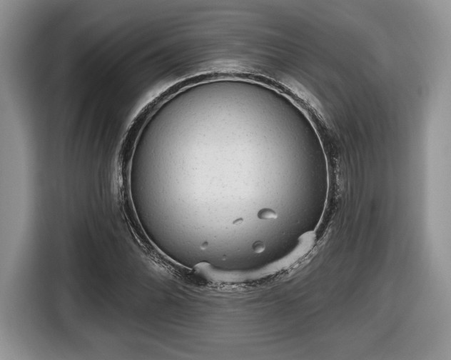 X0000116431070200912151013