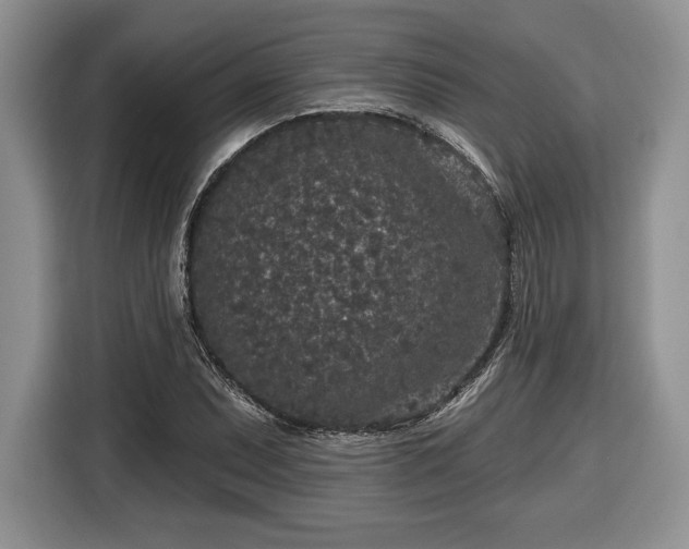 X0000116431071200912151013
