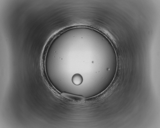 X0000116431072200912151013