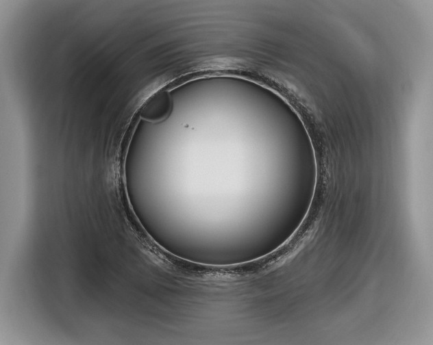 X0000116431073200912151013