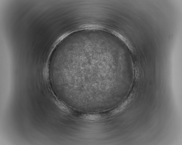 X0000116431074200912151013