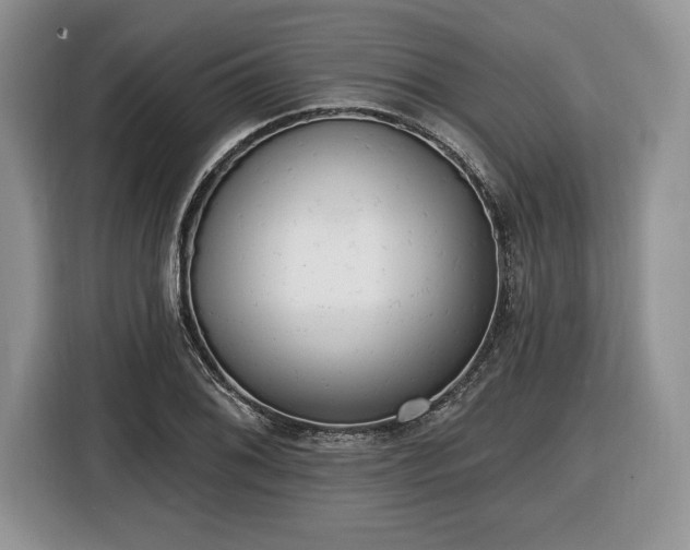 X0000116431076200912151013