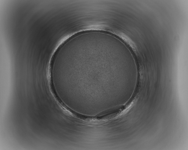 X0000116431077200912151013