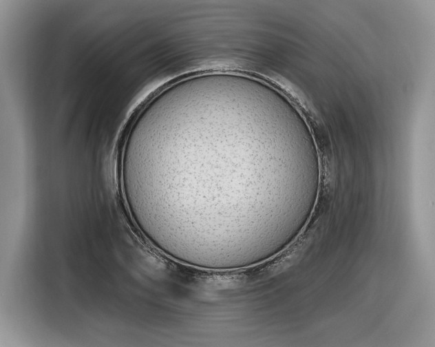 X0000116431078200912151013