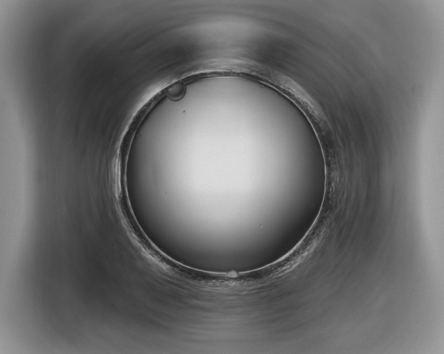 X0000116431079200912151013