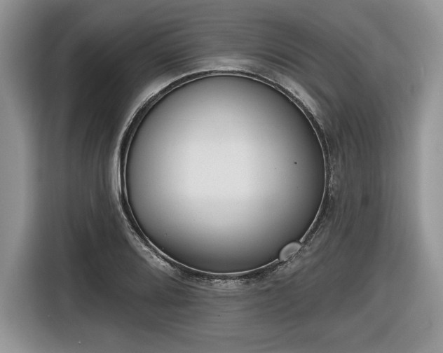X0000116431080200912151013