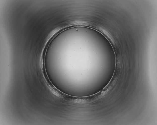 X0000116431082200912151013