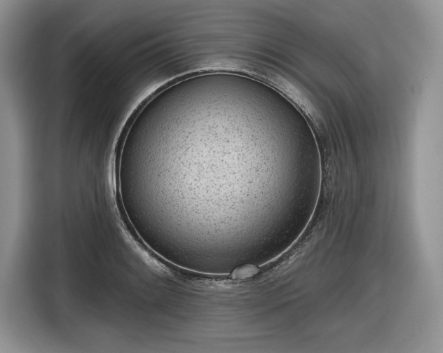 X0000116431084200912151013