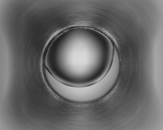 X0000116431085200912151013