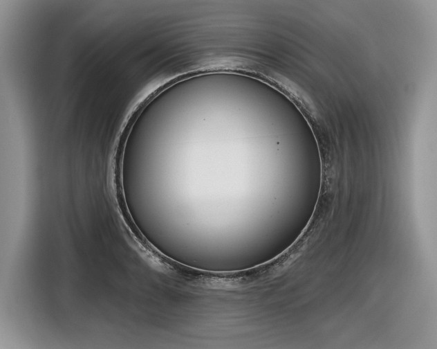 X0000116431086200912151013