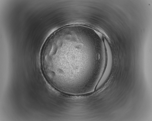 X0000116431087200912151013