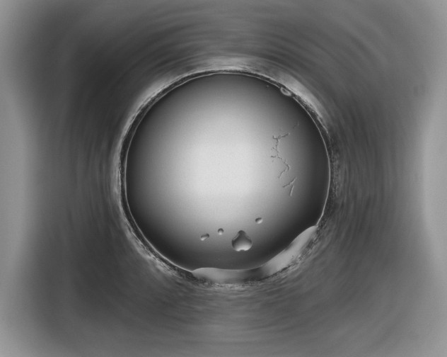 X0000116431088200912151013