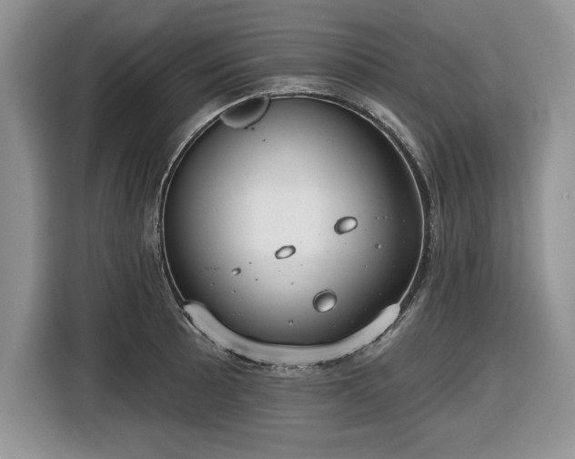 X0000116431089200912151013
