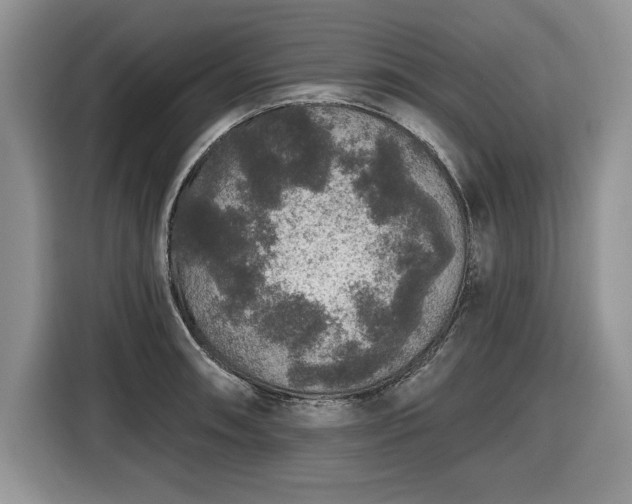 X0000116431090200912151013