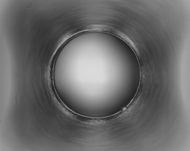 X0000116431091200912151013