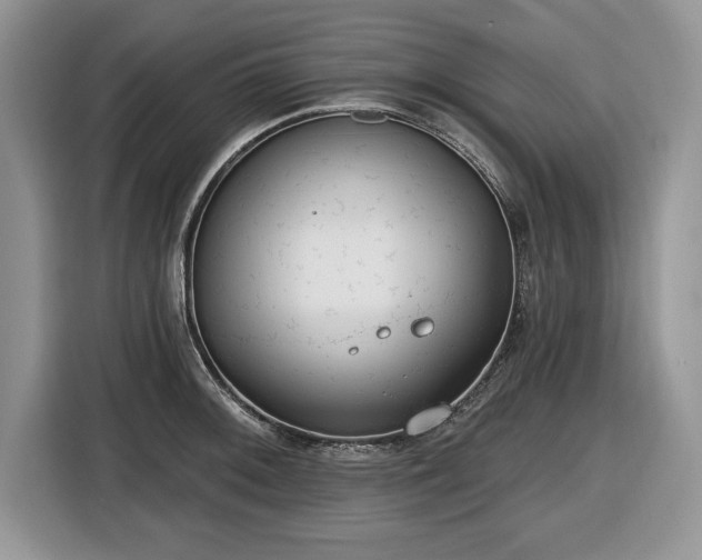 X0000116431092200912151013