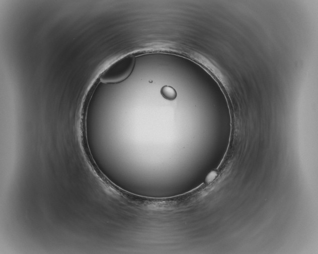X0000116431093200912151013