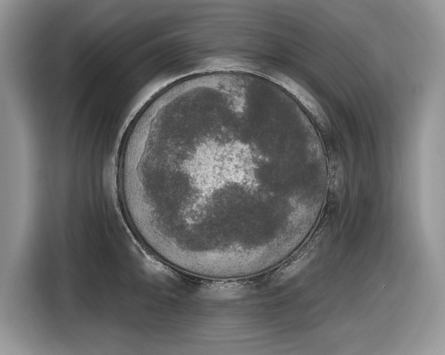 X0000116431094200912151013