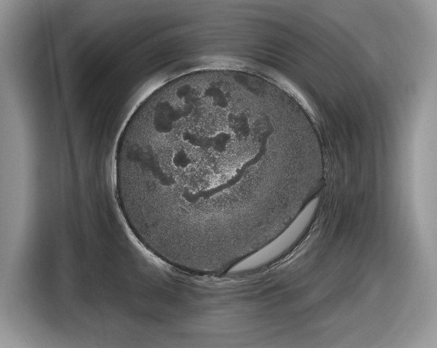 X0000116431095200912151013