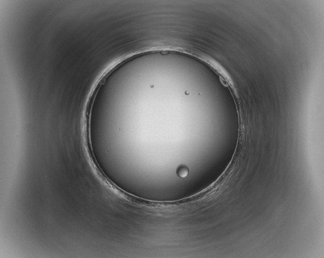 X0000116431096200912151013