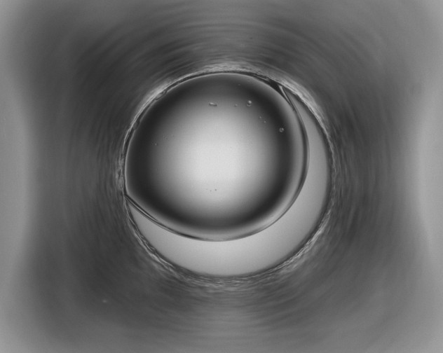 X0000116431097200912151013