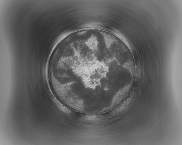 X0000116431098200912151013