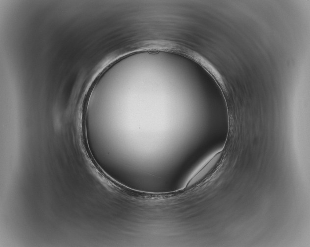 X0000116431099200912151013