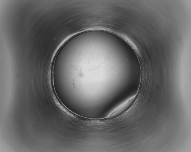 X0000116431100200912151013