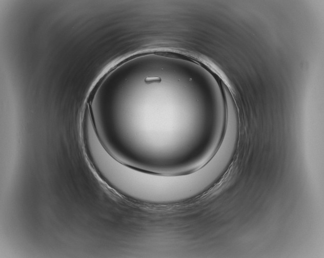 X0000116431101200912151013