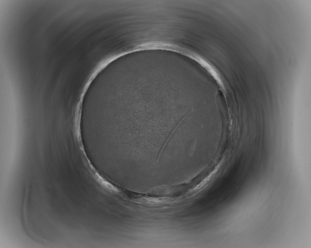X0000116431102200912151013