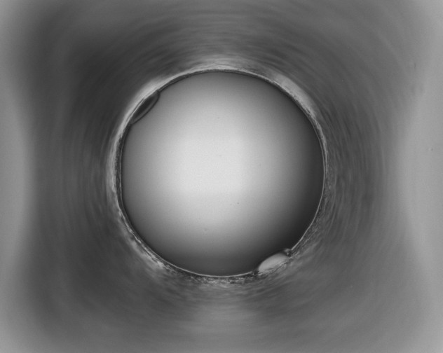 X0000116431104200912151013