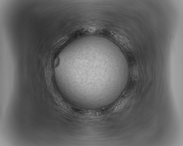 X0000116431105200912151012