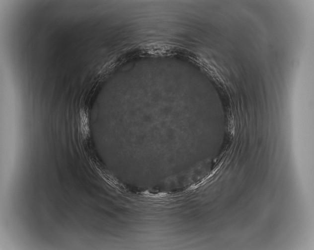 X0000116431106200912151012