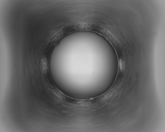 X0000116431107200912151012