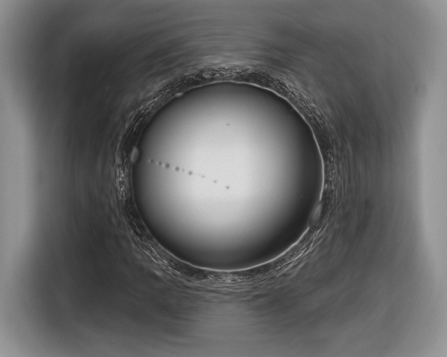 X0000116431109200912151012